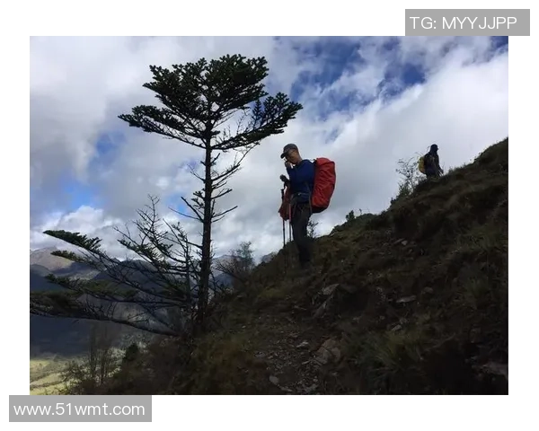 斯通斯的传奇之旅：从摇滚乐坛到文化符号的演变与影响