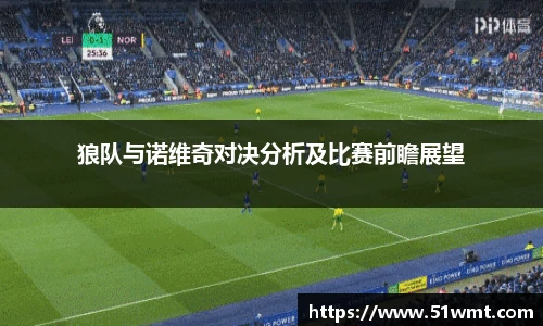 狼队与诺维奇对决分析及比赛前瞻展望